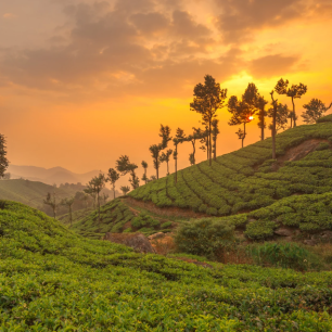 Kerala