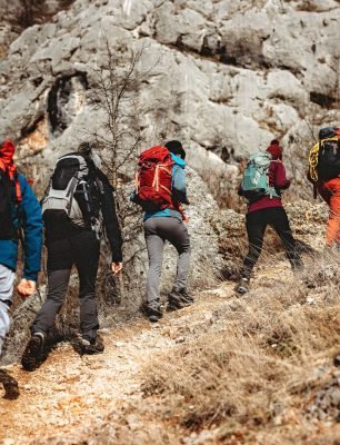 Group Tours